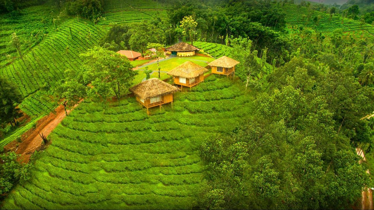 Oxyfarm Resorts 와야나드 외부 사진